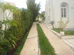 Detached House Saudi Arabia