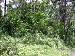 Land Trinidad & Tobago