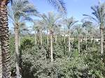 Detached House Egypt