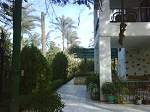 Detached House United Arab Emirates
