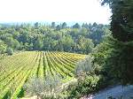 Land Italy