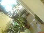 Town house Greece