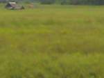 Land Philippines