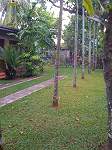 Detached House Sri Lanka