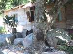 Detached House Seychelles