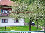 Detached House Bosnia & Herzegovina