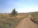 Land Greece