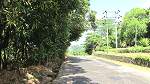 Land Seychelles