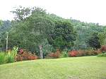 Land Jamaica