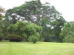 Land Jamaica