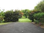 Land Jamaica