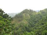 Land Jamaica