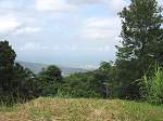 Land Jamaica
